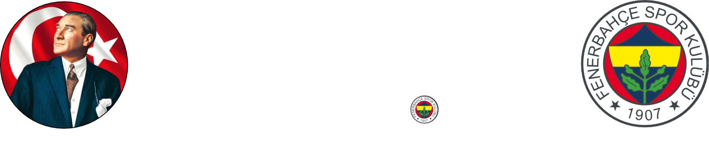 SEO uzmanı Tahsin KAYA logo